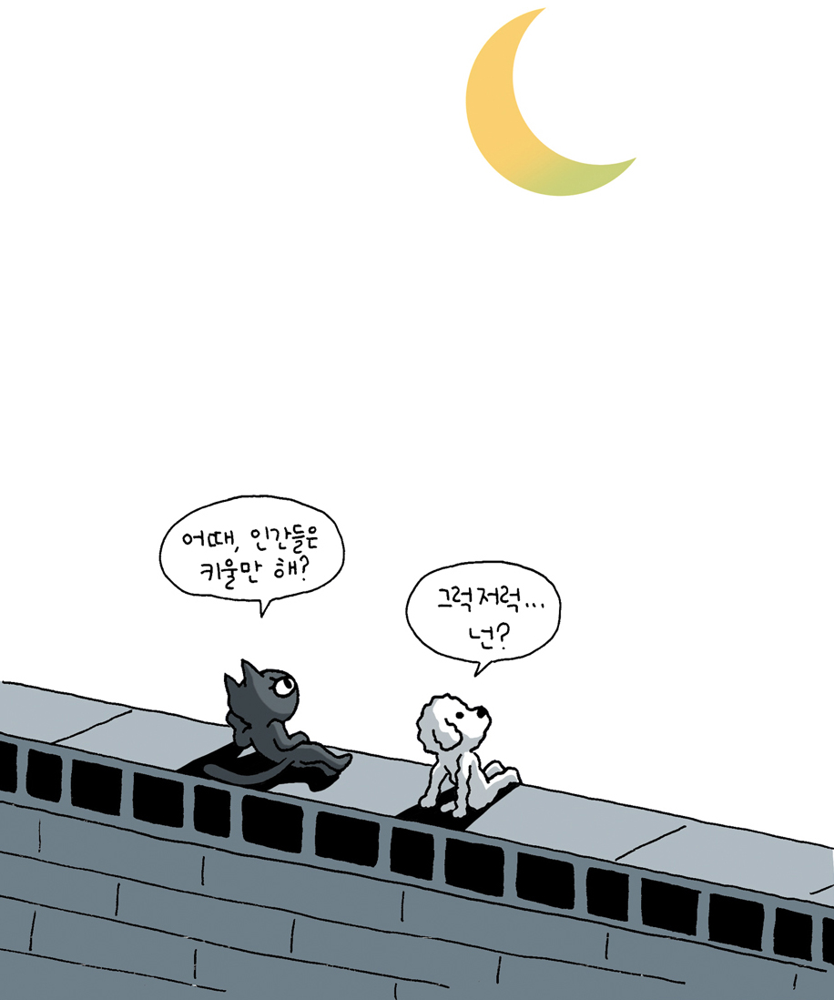 또디.jpg