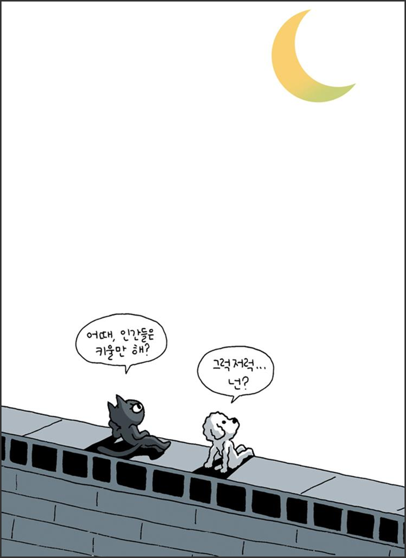 06.png