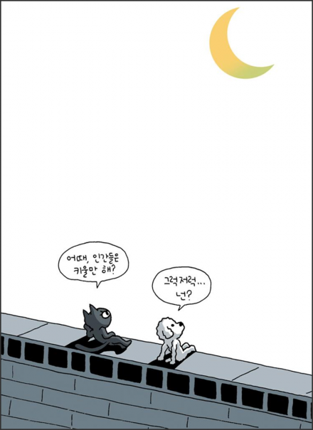 06.png